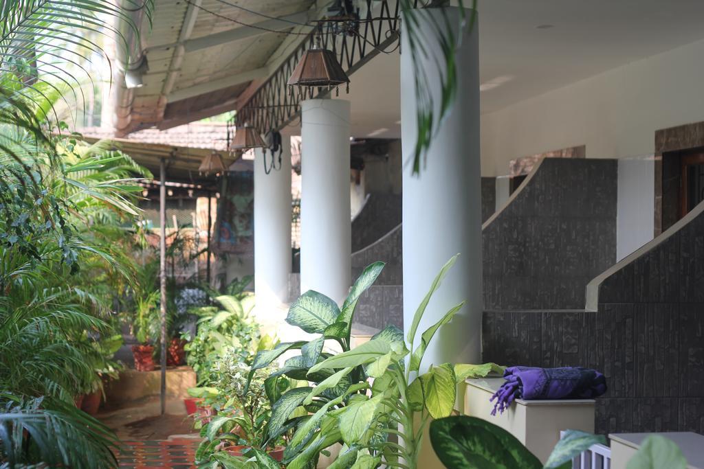 Alba Rooms Palolem Rosebuds Exteriör bild